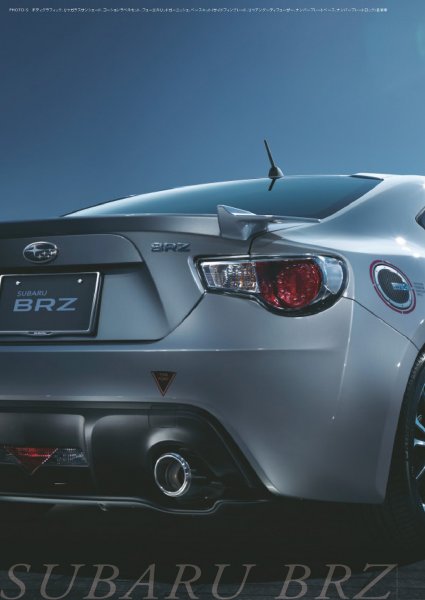 Brz_Acc-2-1.jpg